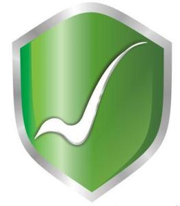 互聯網藥品信息服務管理辦法 規范網絡平臺，保障公眾用藥安全